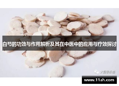白芍的功效与作用解析及其在中医中的应用与疗效探讨