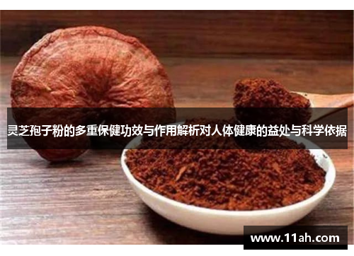 灵芝孢子粉的多重保健功效与作用解析对人体健康的益处与科学依据